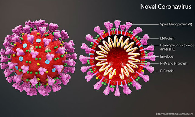 Novel Coronavirus-COVID19