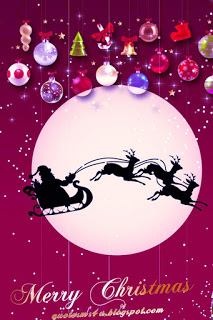 Merry Christmas Quotes